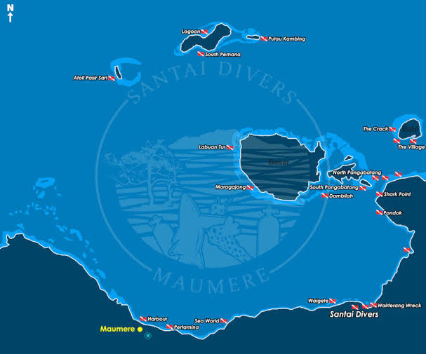 Cuba Dive sites Maumere Flores Indonesia