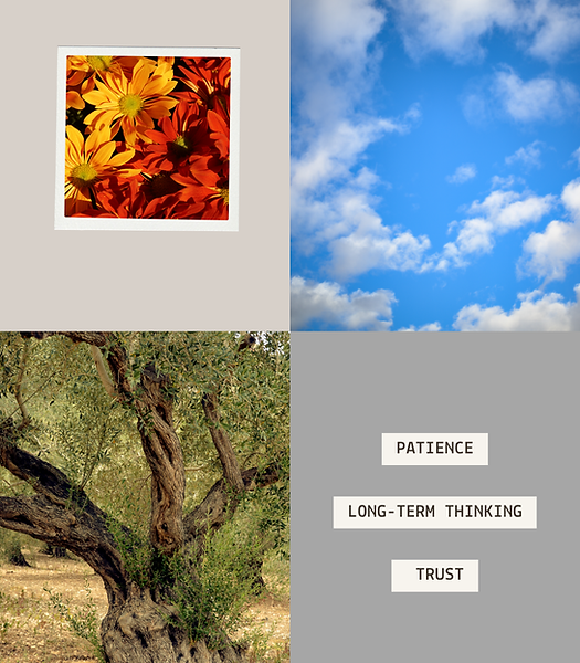 Thinking long-term