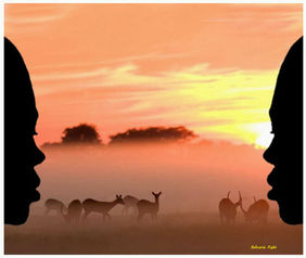 Fotografia che ritrae riminiscenze africane