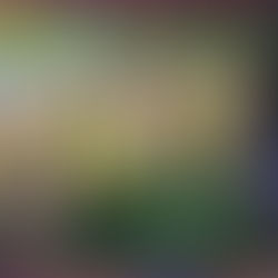 Una giornata di sole sull'isola La Grande Jatte di George Seurat. Il dipinto ritrae delle persone che si gono il sole sulla riva della Senna.