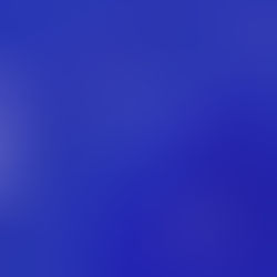 La foto ritrae dei gabbiani che volano sul mare blu