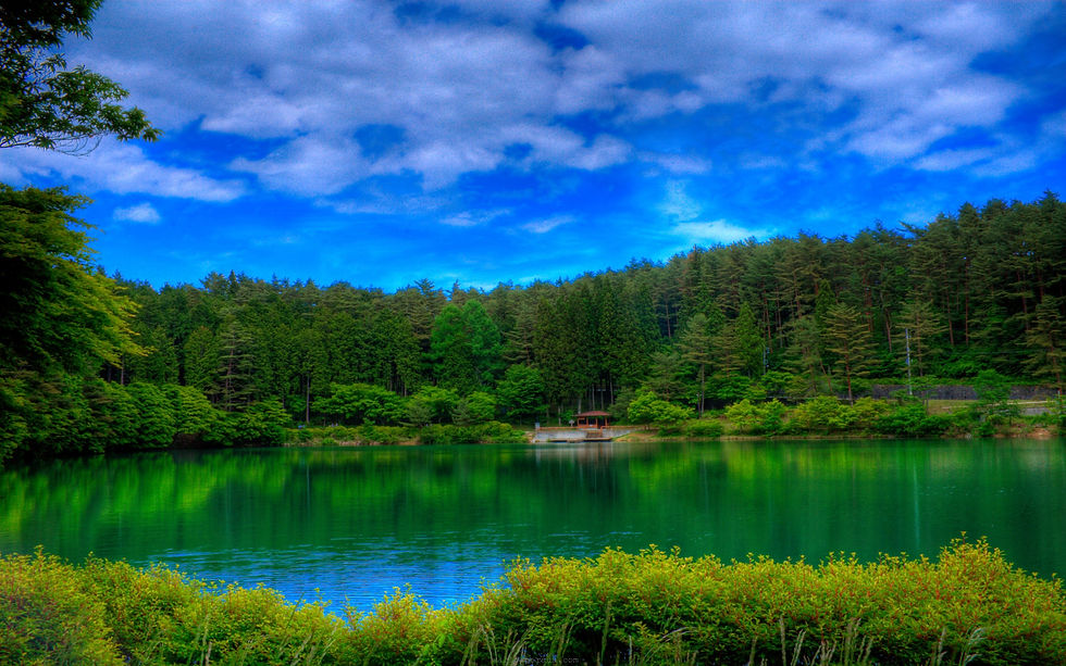 paradise-clouds-forest-green-lake-nature-sky-trees.jpg