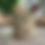 Thumbnail: Olive It Mug