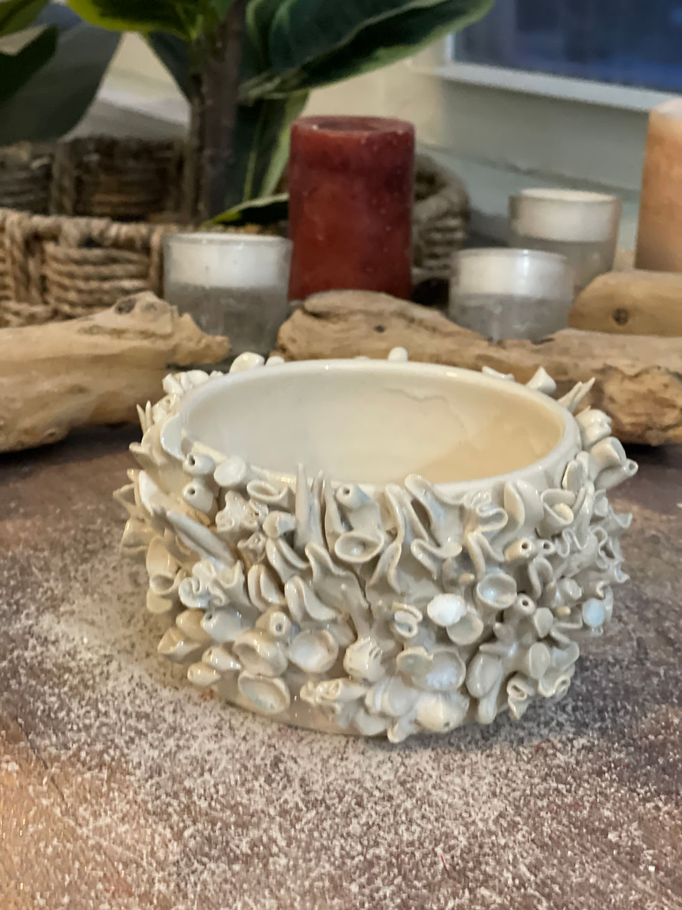 Thumbnail: Coral Planter