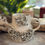 Thumbnail: Octopus Hug Mug