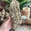 Thumbnail: Wall Flower Holder