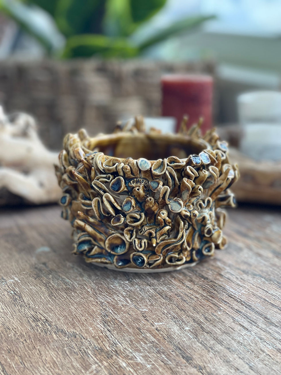 Thumbnail: Super Coral Planter