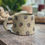 Thumbnail: Olive It Mug