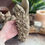 Thumbnail: Wall Flower Holder