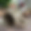 Thumbnail: Olive It Mug