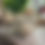 Thumbnail: Jessie