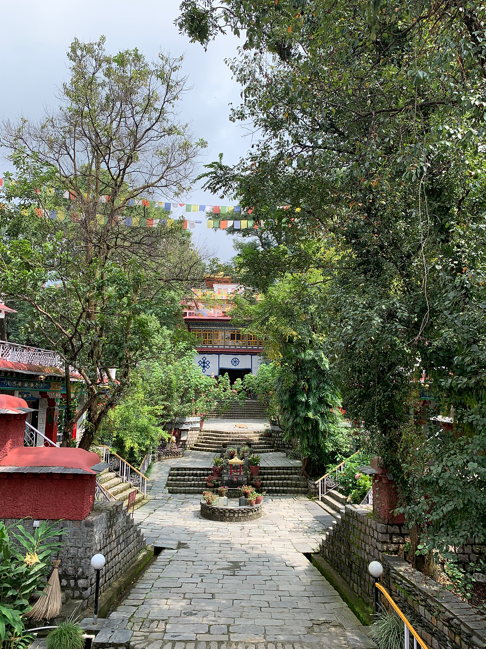 Communities & Culture: Dharamshala's Norbulingka Institute