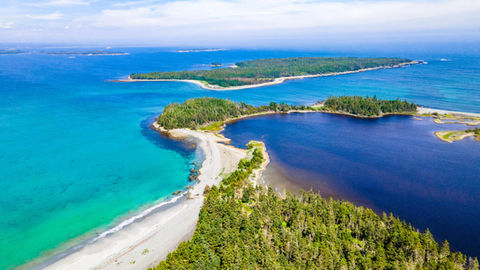 Taylor Head Beach