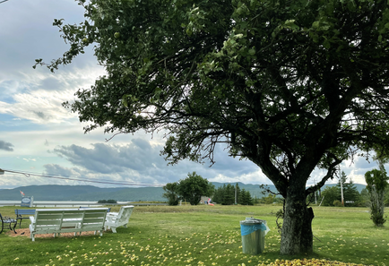 fire pit surrounded by benches with view of the ocean