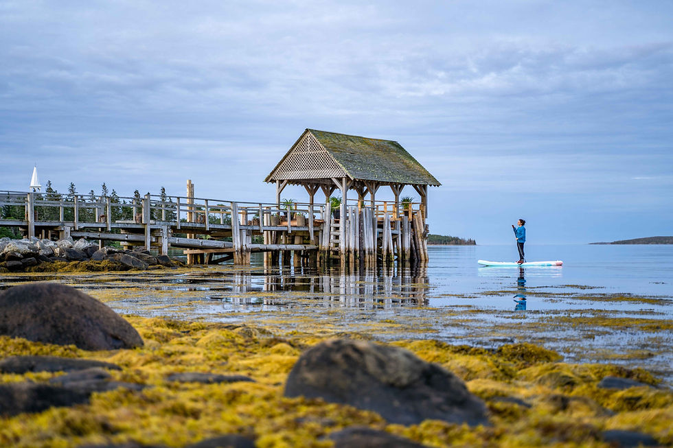 a woman using a stand up padel board next to the pier at the Marmalade motel