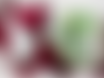 BONUS NATALE 2024, TERMINE ULTIMO PER INVIARE LA RICHIESTA? SCOPRIAMO ASSIEME FINO A QUANDO