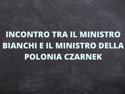 INCONTRO TRA IL MINISTRO BIANCHI E IL MINISTRO DELLA POLONIA CZARNEK