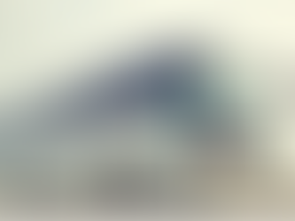 GALLARATE: AUTISTA AGGREDITO SU UN PULLMAN ALL’USCITA DALLA SCUOLA