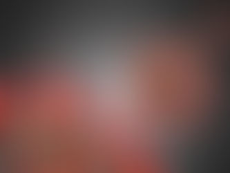 Per l’anno scolastico 2021/22 e le informazioni necessarie