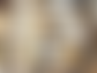 ESONERO DAL SERVIZIO PER I DOCENTI ALLA XXXIV ED. DEL SALONE DEL LIBRO