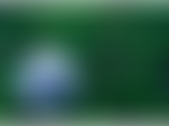 102 MILIONI DI EURO PER PROMUOVERE IL TEMA ECOLOGICO E AMBIENTALE