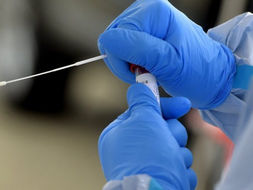 Covid scuola, contagi e quarantene