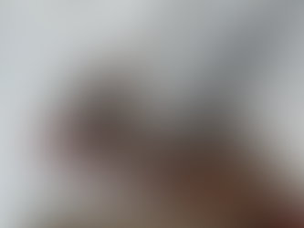 ESAME DI STATO: È POSSIBILE UTILIZZARE MANUALI TECNICI E DIZIONARI? 