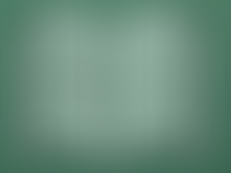 ATA: INSERIMENTO NELLA GRADUATORIA 24 MESI E I REQUISITI