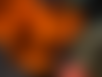 TOSCANA: SCUOLA DELL’INFANZIA DI SAN MARTINO IN GATTARA A FUOCO