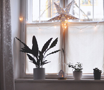 Christmas Star