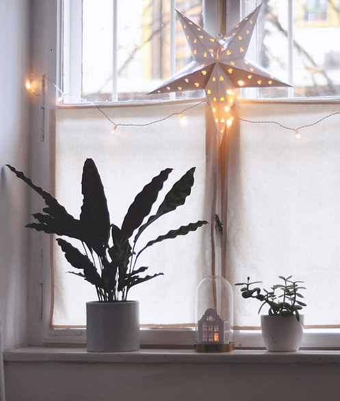 Cozy Window Setup