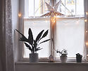 Christmas Star