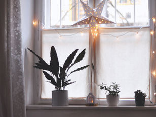 MIT YOGA (PLACE) ENSPANNT DURCH DEN ADVENT