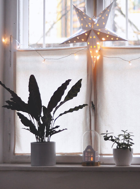 Christmas Star