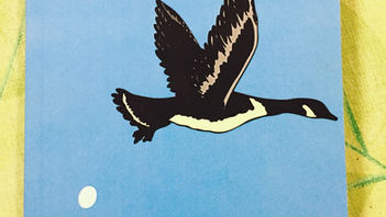 Ella sigue de viaje en México