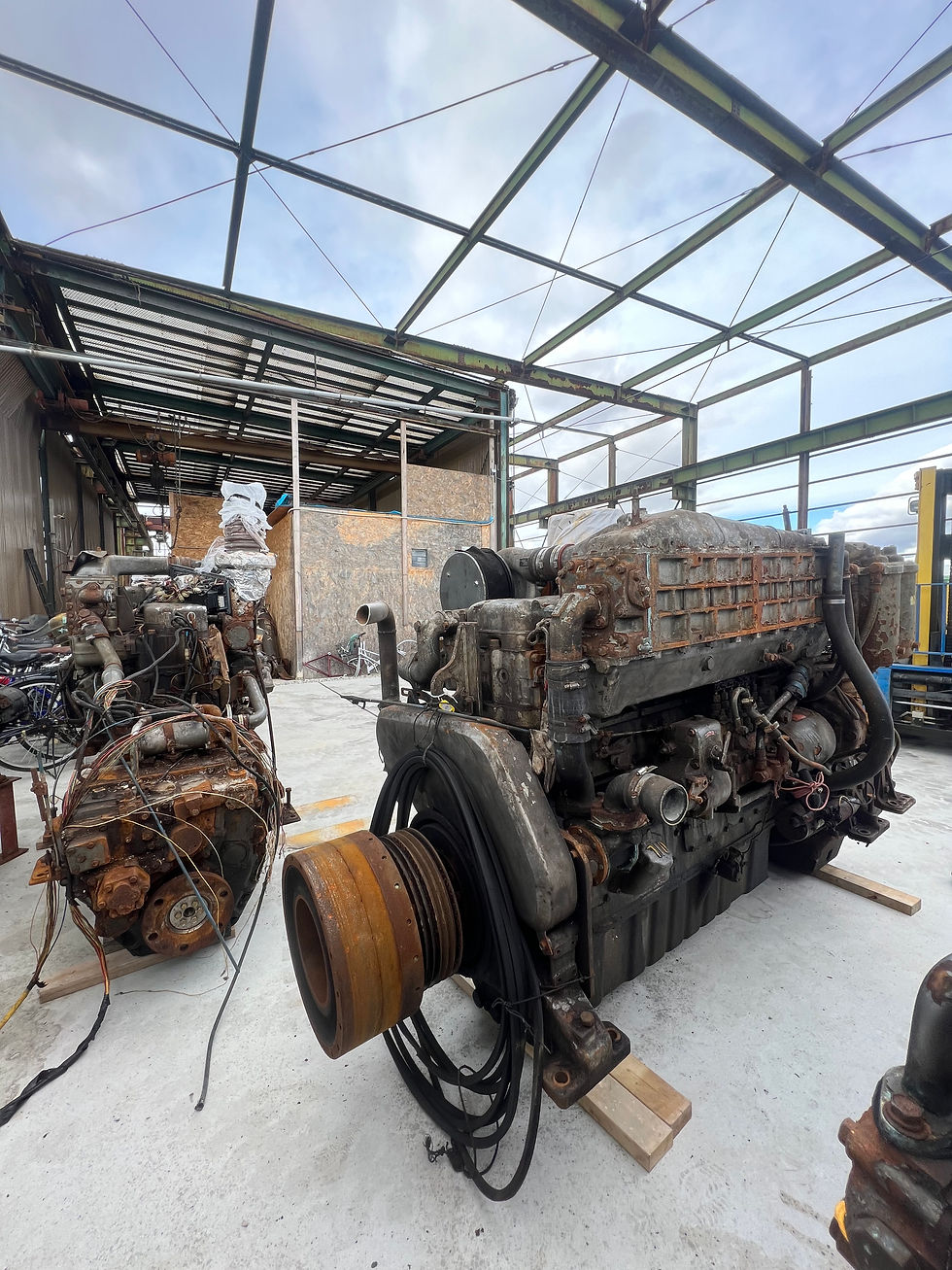 الصورة المصغرة: Yanmar 6LA-ST 490 PS
