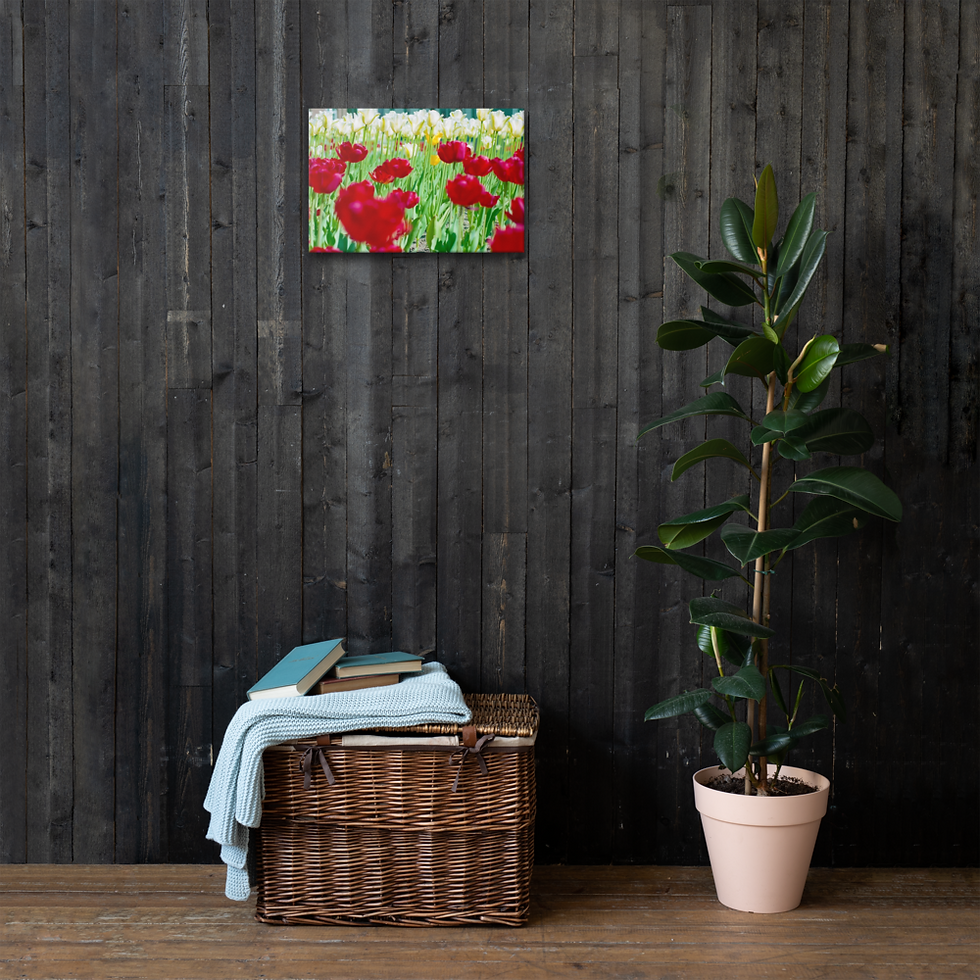 Thumbnail: Darren Smit - Tulips (Photography on Stretched Canvas)