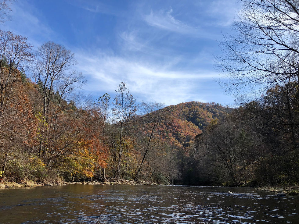 The Western North Carolina mountains also offer great fishing in the fall. PHOTO BY CHARLESTON MERCURY STAFF