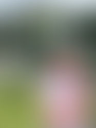 Ports of Call, Moments of Grace: Inside Jill Siegal Chalsty’s Packets of Hope