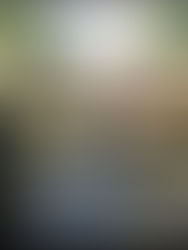 Cherished holiday memories embedded in Flat Rock