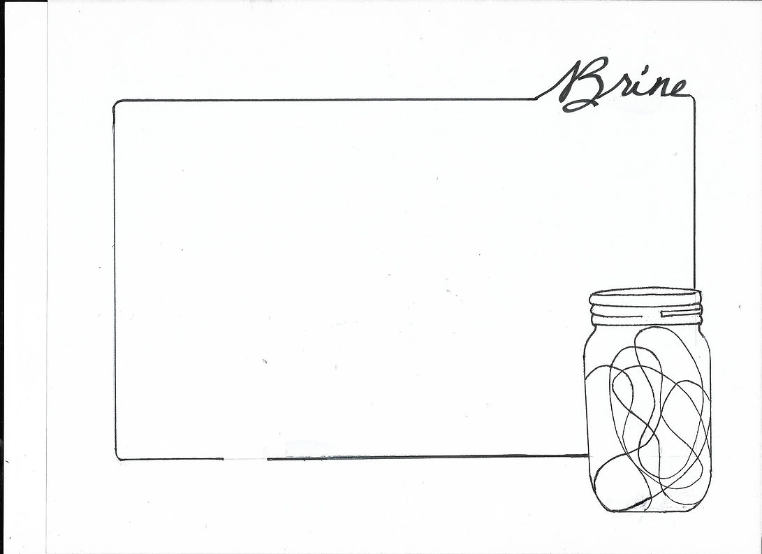 BRINE cover.jpg