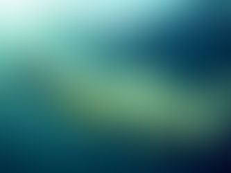 A l’image de l’ornithorynque : un magnétisme hors des sentiers battus