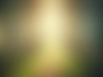 Le Mécanisme du Changement par le Choix