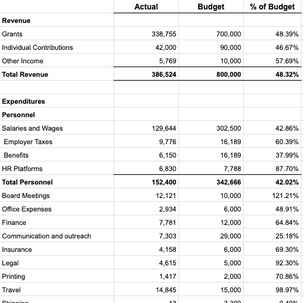Nonprofit Budget vs. Actual Reports