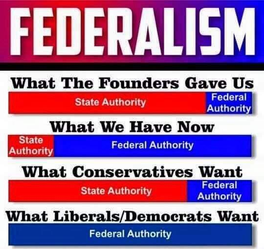 FEDERALISM - Modern Federalism vs Originalist Federalists content media