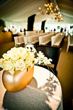 Private Synagogue | Western Wall