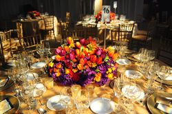 Private Synagogue | Western Wall