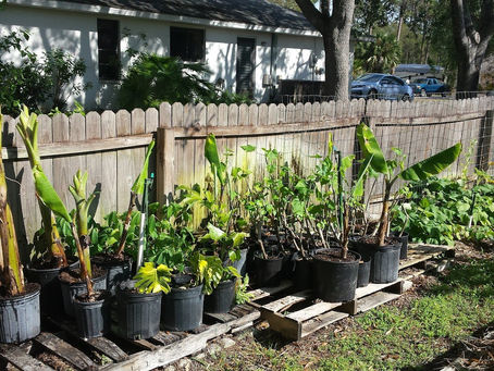 Propagating Abundance