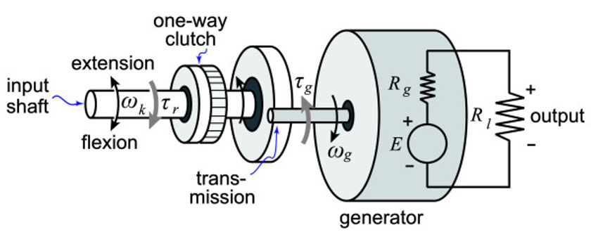 A-simple-model-of-our-biomechanical-ener