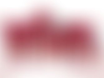 Linha de tratamento para pele oleosa da Alva cosméticos naturais